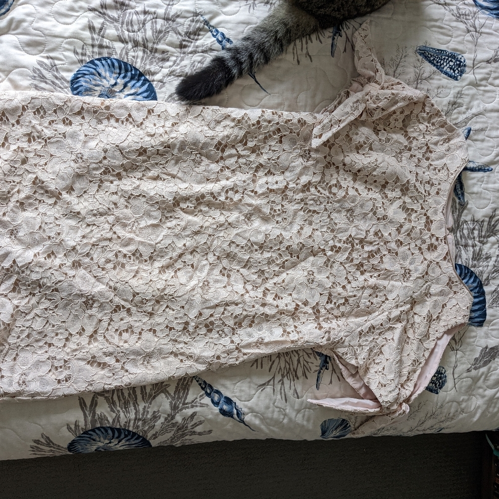Vince Camuto lace dress